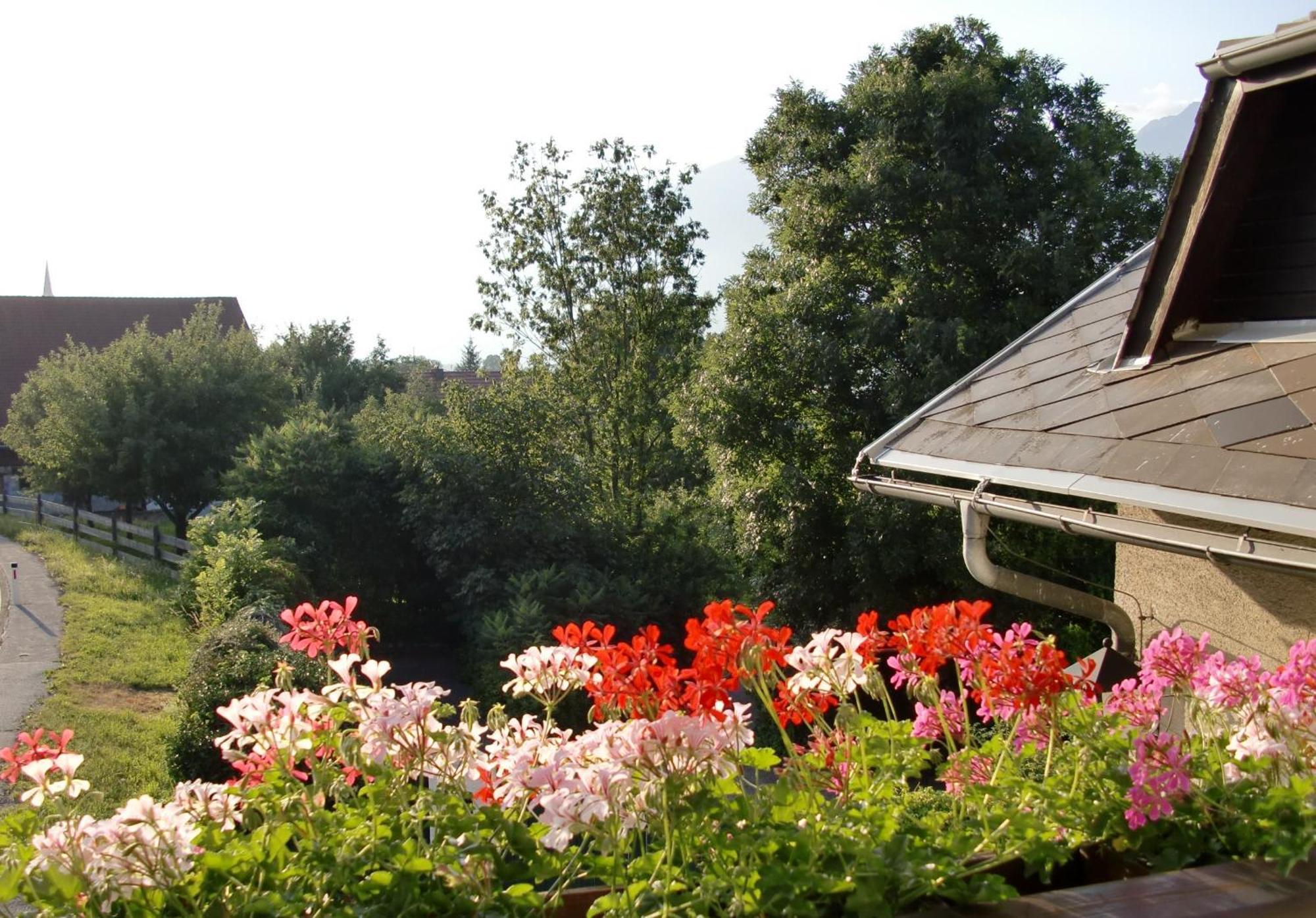 Gasthof-Pension Reidnwirt Baldramsdorf Dış mekan fotoğraf
